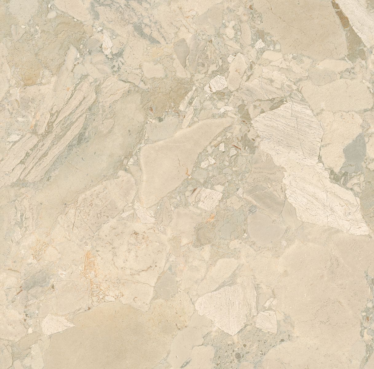 Cut Sample - Fragmenta Series - Flora Matt 600x600mm Porcelain Tile (Cut Size: Approx. 200x100 mm)