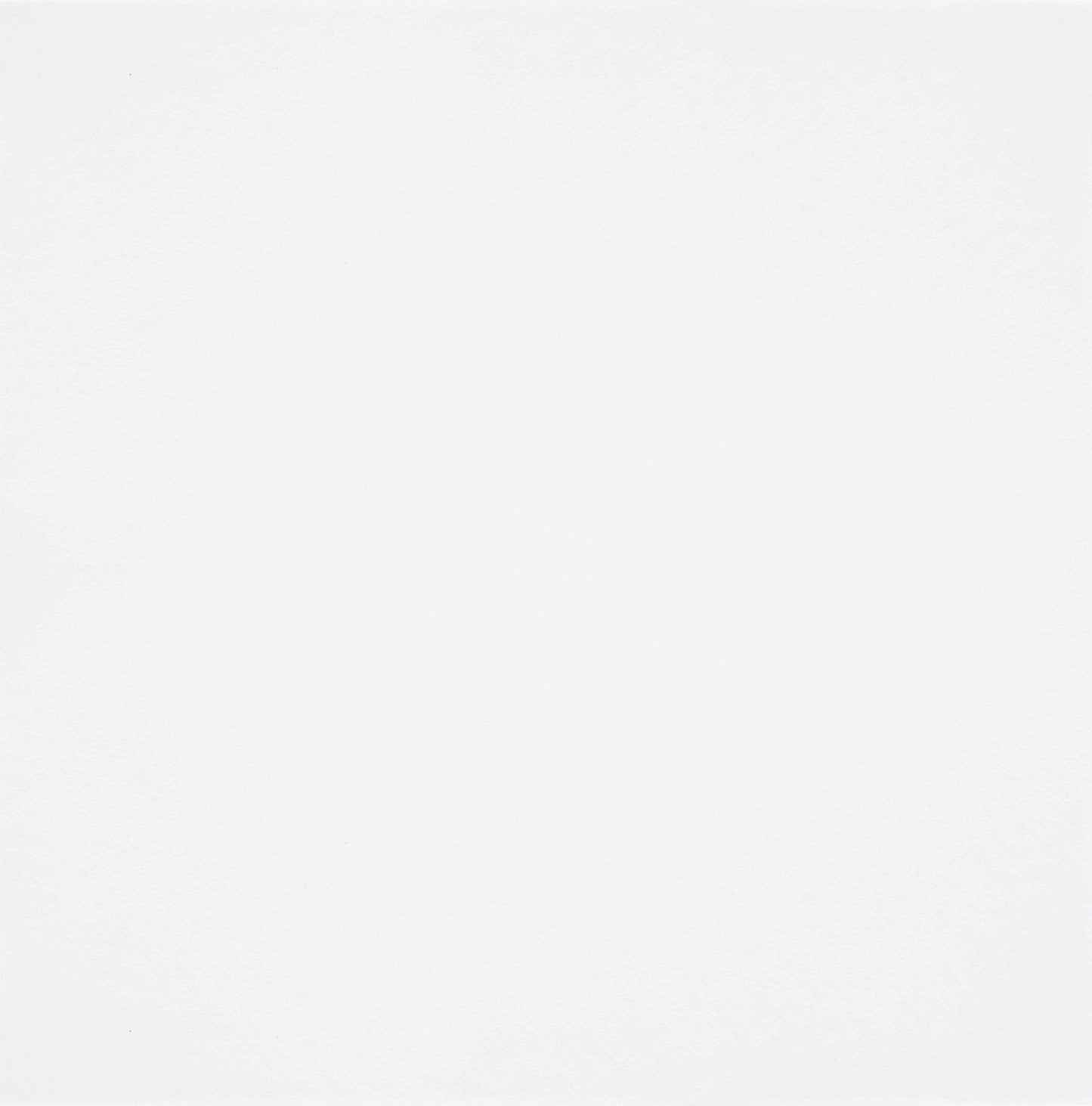 Full-Size Sample - Checkerboard Series - CoCo's White 300x300mm Porcelain Tile