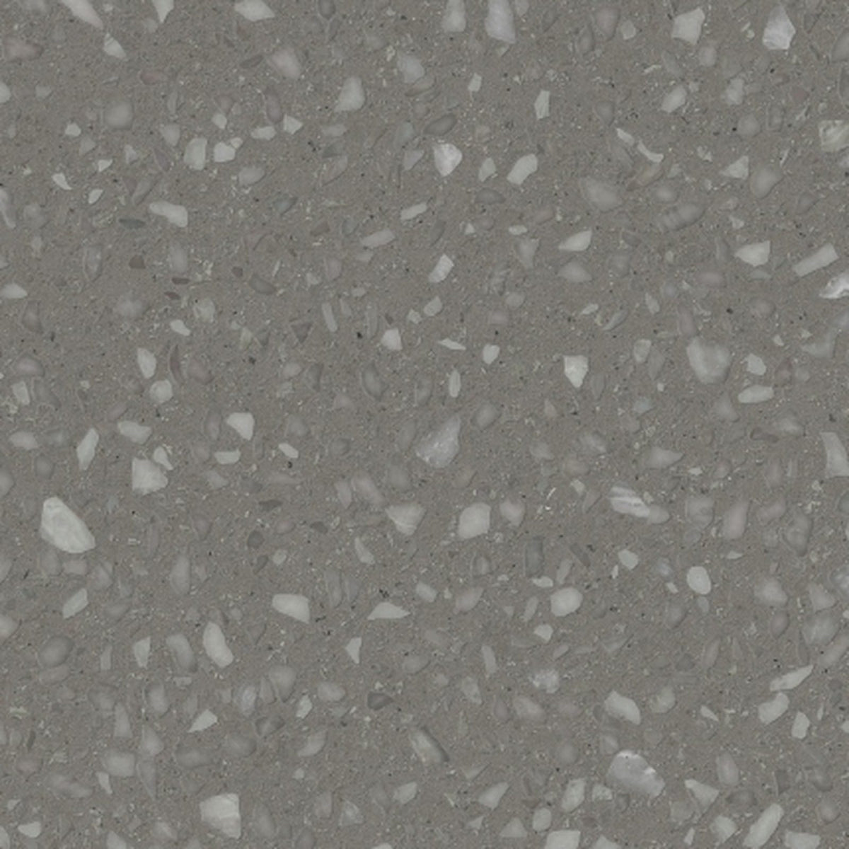Stardust Series - Pewter Natural (matt) 600x1200mm Porcelain Tile - chip closeup