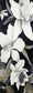 Moonlit Magnolia Mirage Artistic Mosaic
