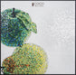 Glass Tile Fruit Mosaic -Mosaic Apple & Pear Wall Art