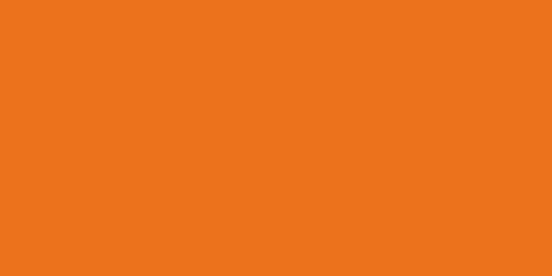 Artist's Palette Series - Orange Peel Satin 300x600mm Ceramic Tile