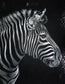 Artistic Mosaic - Zebra - Zipper