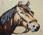 Artistic Mosaic - Horse Portrait - Endurance