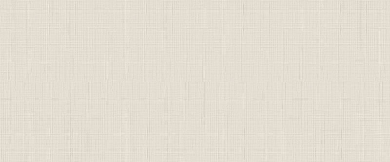 Babylon Series - Vanilla Embossed Matte 500x1200mm Ceramic Tile