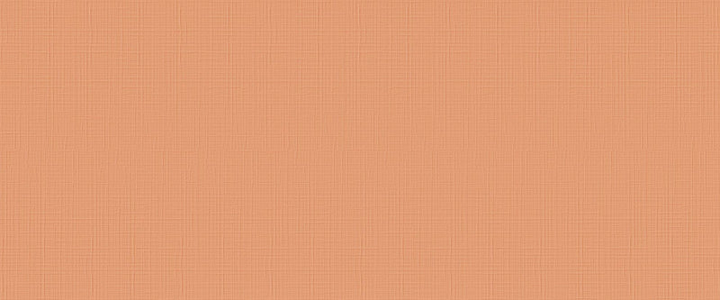 Babylon Series - Orange Embossed Matte 500x1200mm Ceramic Tile