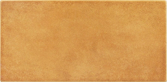 Full-Size Sample - Vintage Chic Series - Salty Caramel Mini 165x330mm Ceramic Tile