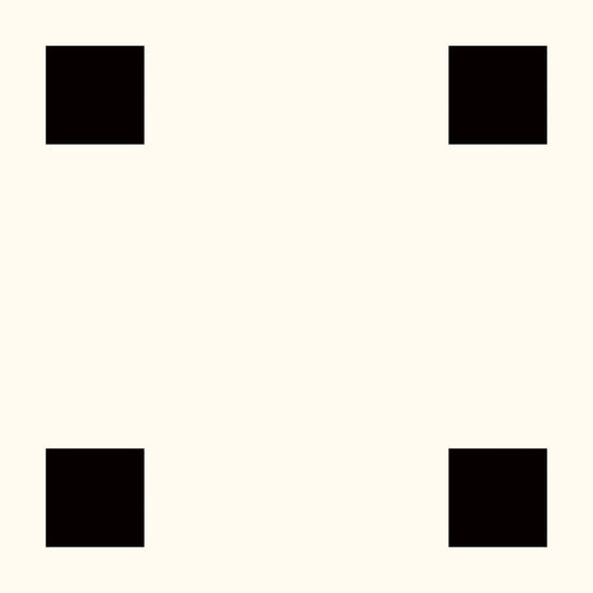 Four Corners Series - Bistro Dot Ebony Satin 300x300mm Porcelain Tile