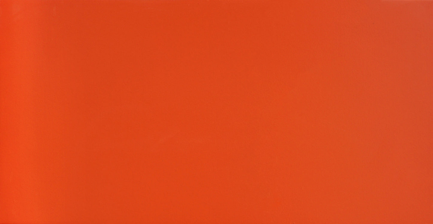 Cut Sample - Artist’s Palette Series - Tibetan Red 300x600mm Ceramic Tile (Cut Size: Approx. 100x300 mm)