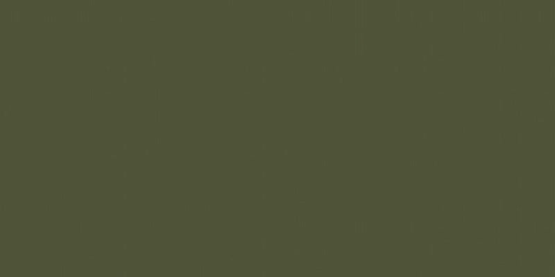Earth Tone Colour Palette Series - Mountain Olive Satin 300x600mm Ceramic Tile