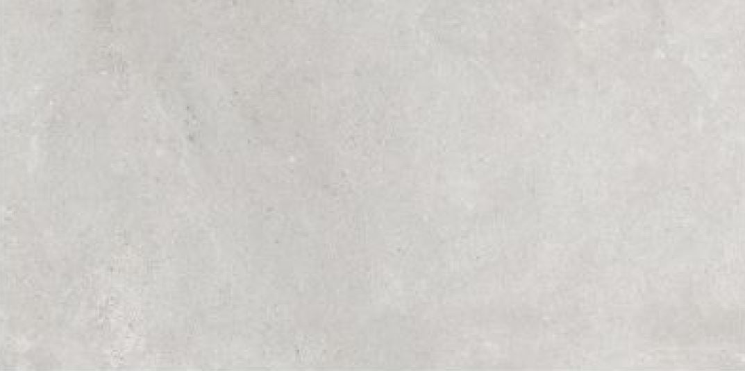 Landscape Series - Pietra Silver 300x600mm Ceramic Tile