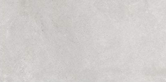 Landscape Series - Pietra Silver 300x600mm Ceramic Tile