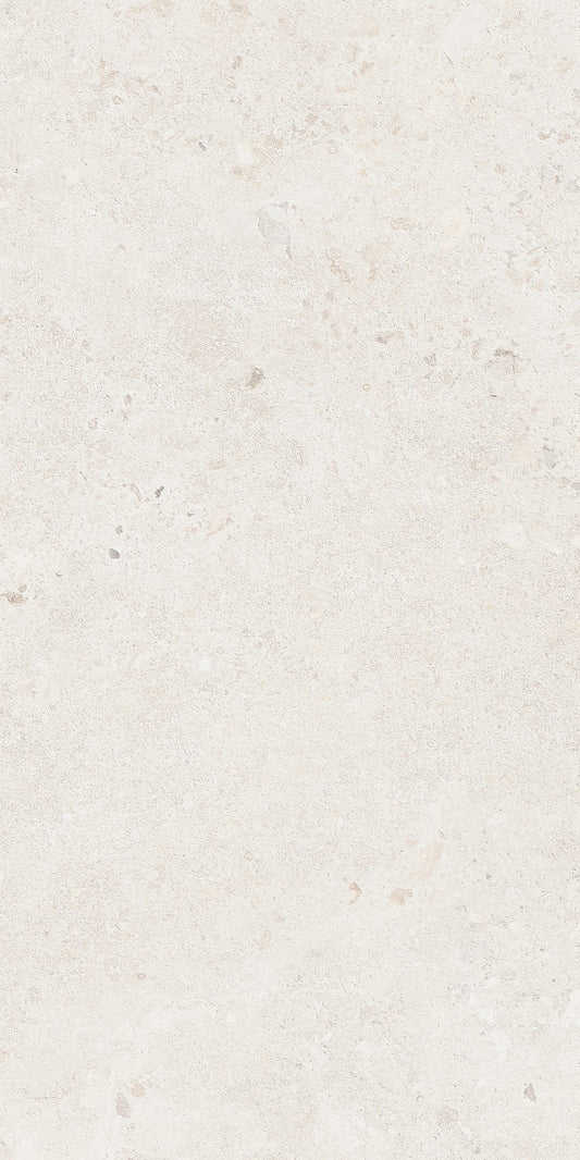 Provence Bastide P3 Brushed 600x1200mm porcelain tile — single tile face