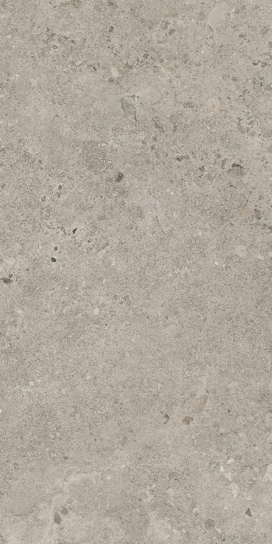 Provence Riverbed P3 Brushed 600x1200mm porcelain tile — single tile face