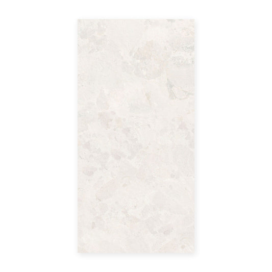 Sassi Series - Plaster Matt 600x1200mm Porcelain Tile