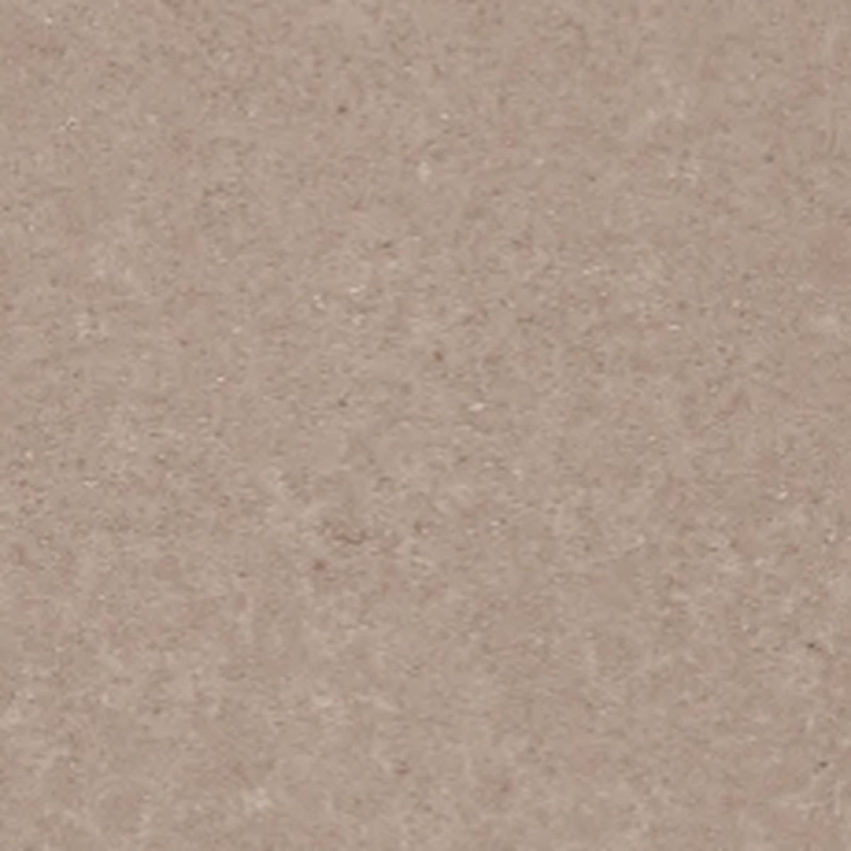 Sierra Series - Mocha Matt 600x1200mm Porcelain Tile - surface closeup