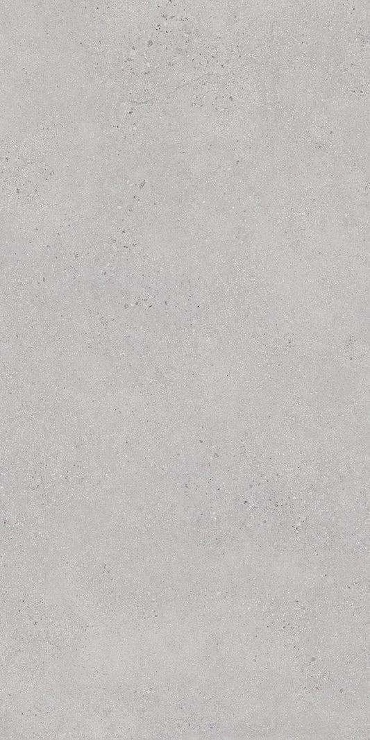 Tuscan Quarry Series - Ash Matt 600x1200mm Porcelain Tile - tile only
