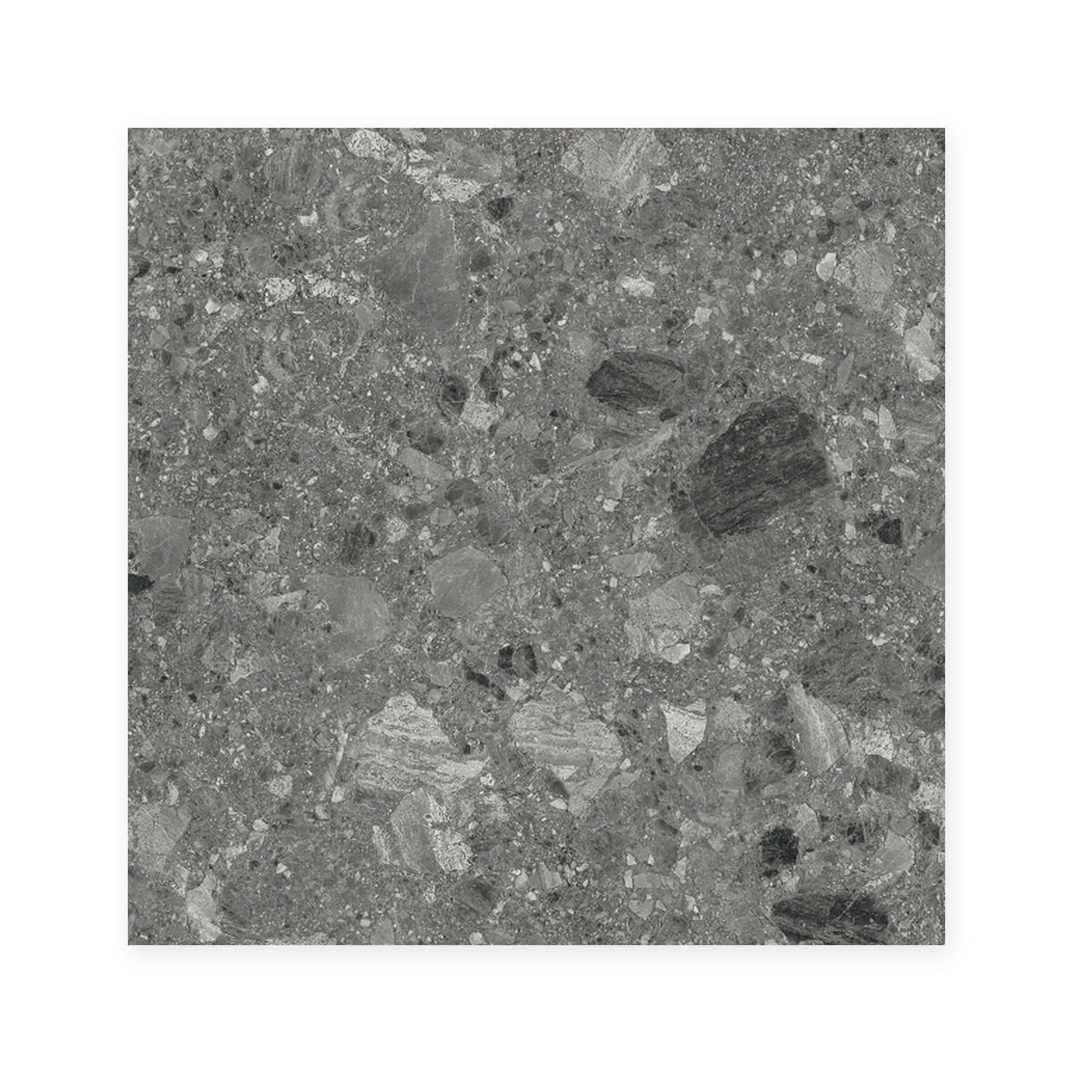 Tuscan Quarry Series - Graphite Matt 600x600mm Porcelain Tile